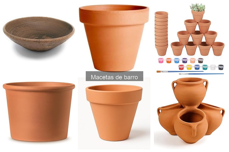 Dónde comprar macetas de barro económicas y accesibles