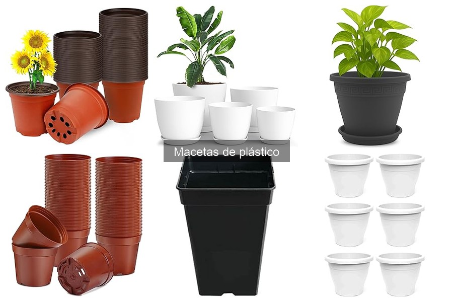 Dónde comprar macetas de plástico baratas de calidad