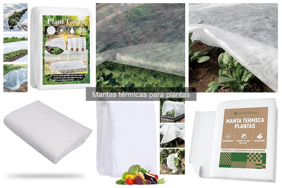 Dónde comprar mantas térmicas para plantas al mejor precio
