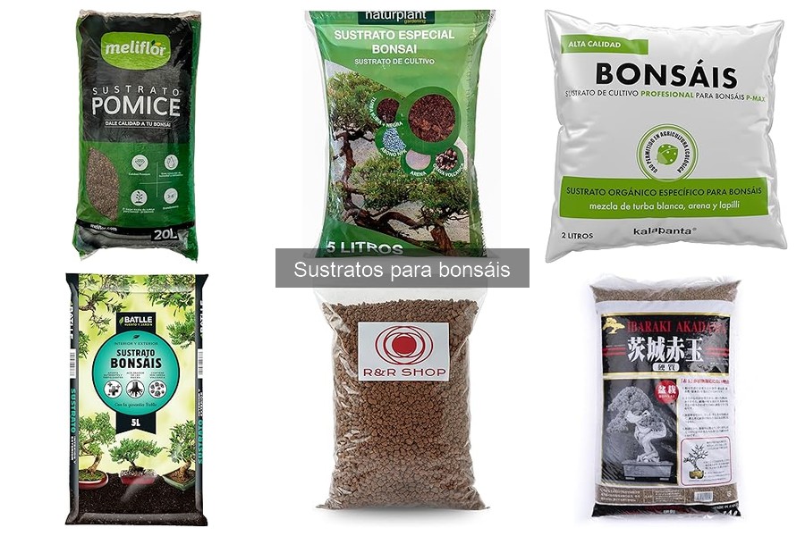 Dónde comprar sustratos para bonsáis a buen precio
