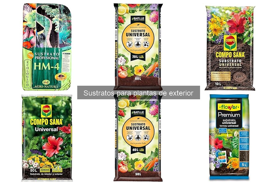 Dónde Comprar Sustratos para Plantas de Exterior