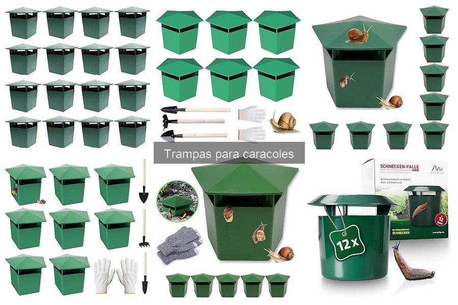 Dónde comprar trampas para caracoles y precios recomendados