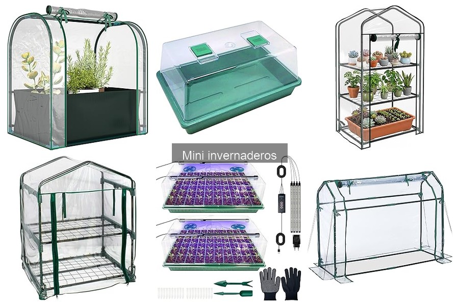 Dónde comprar un mini invernadero: precio y disponibilidad