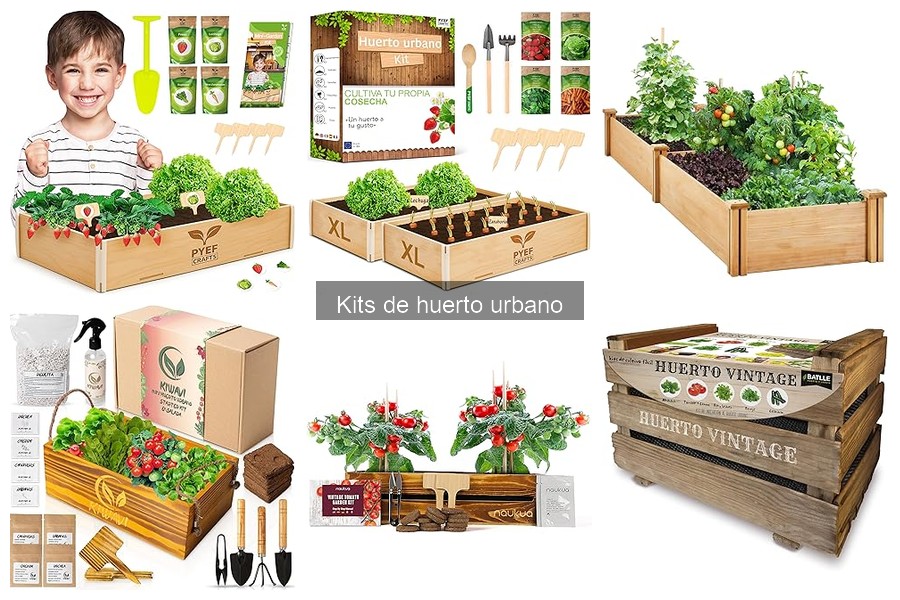 Duración y Vida Útil de Kits de Huerto Urbano