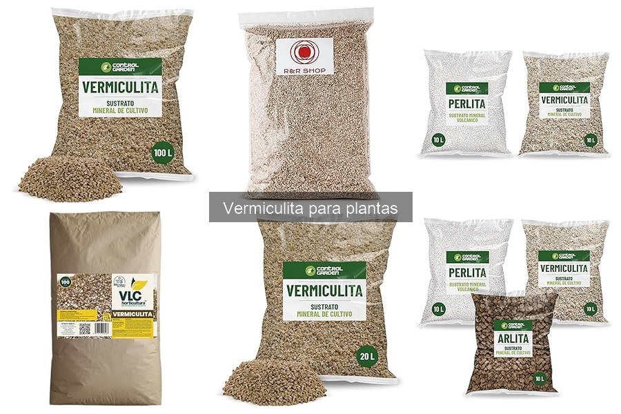 Efecto de la Vermiculita en la Retención de Humedad