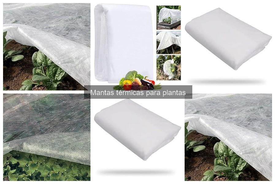 Eficacia de las mantas térmicas para plantas: ¿cómo medirla?
