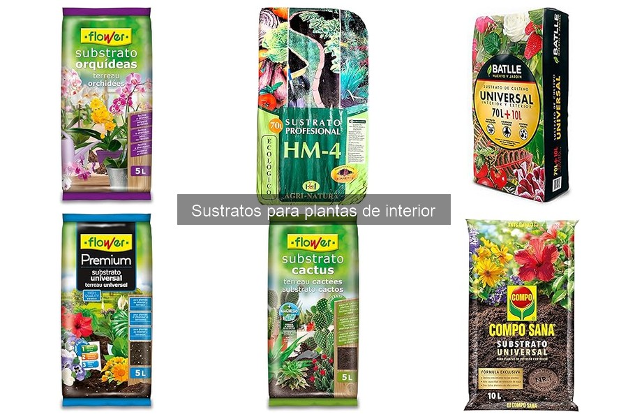 El mejor sustrato para plantas de interior: Comparativa 2023