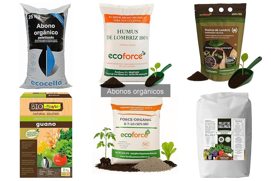 Elige el Mejor Abono Orgánico para Tus Plantas