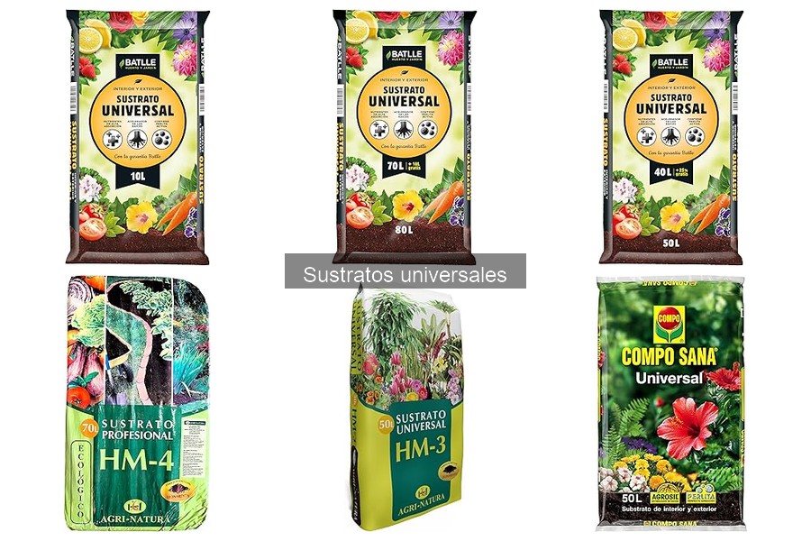 Errores Comunes al Elegir Sustratos Universales para Jardines