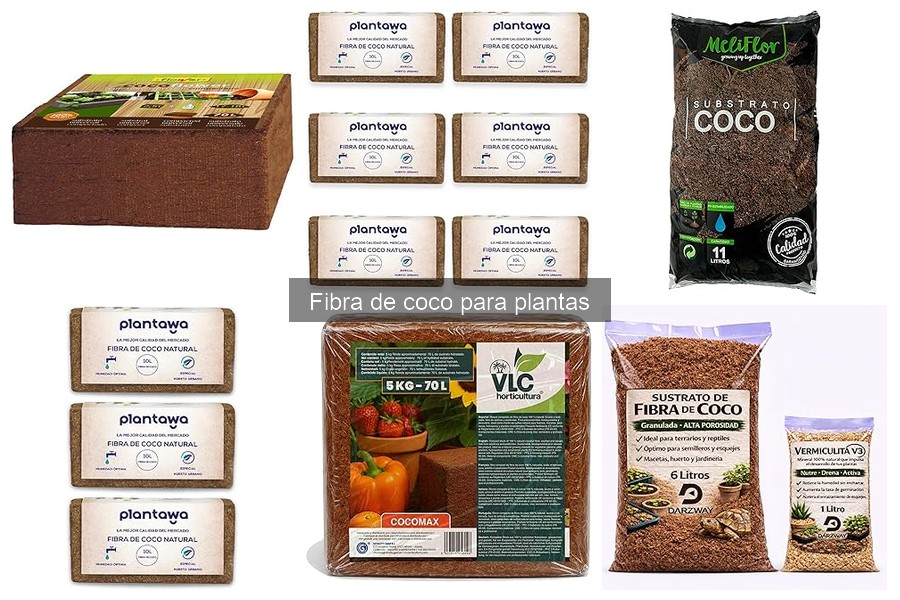 Errores comunes al usar fibra de coco en el cultivo de plantas