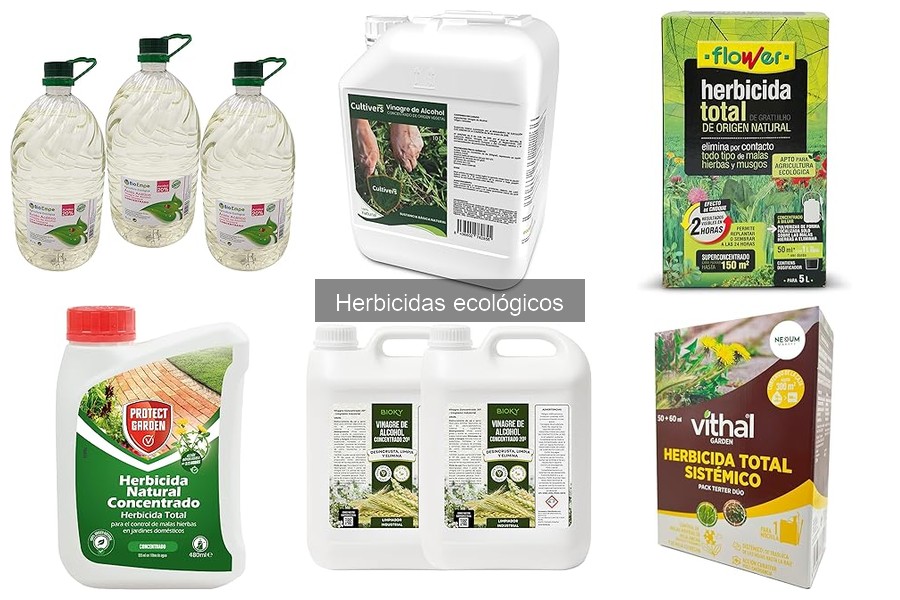 Errores comunes al usar herbicidas ecológicos en jardinería