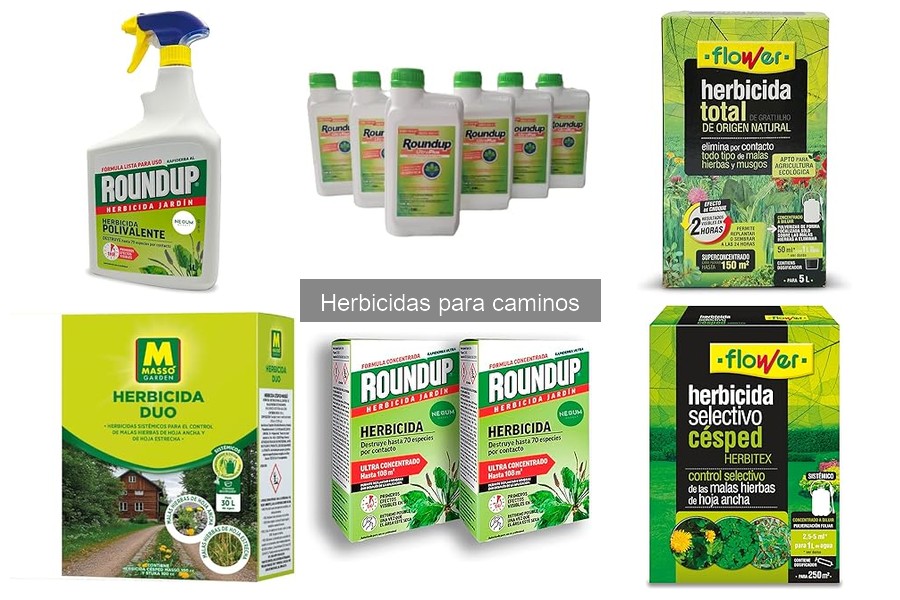 Errores comunes al usar herbicidas en caminos