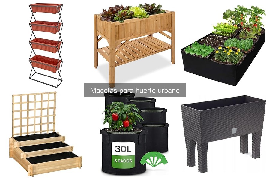 Errores comunes al usar macetas en tu huerto urbano