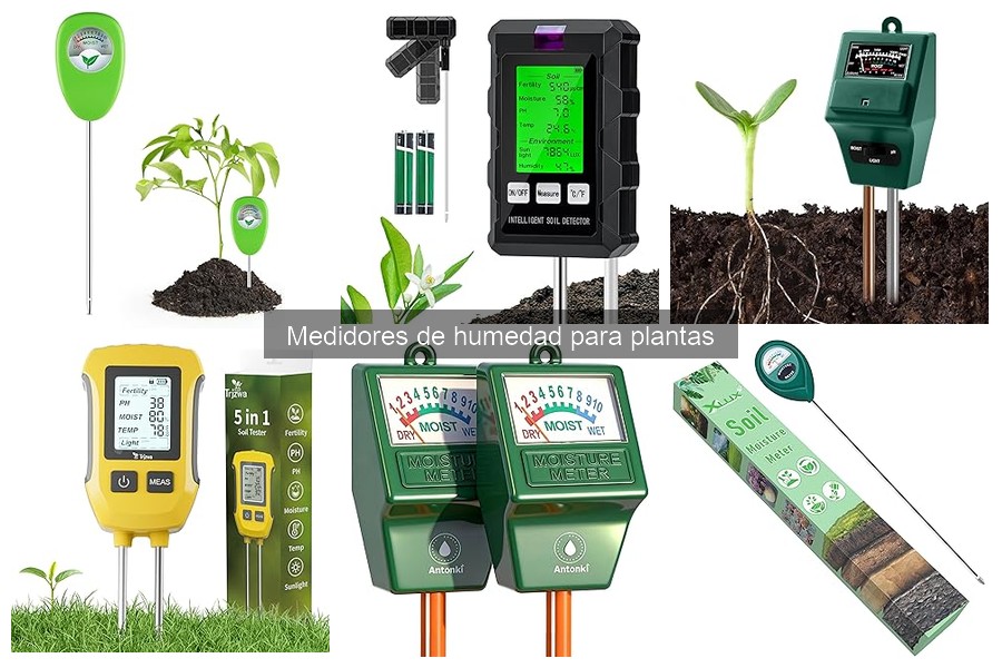 Errores comunes al usar medidores de humedad en plantas