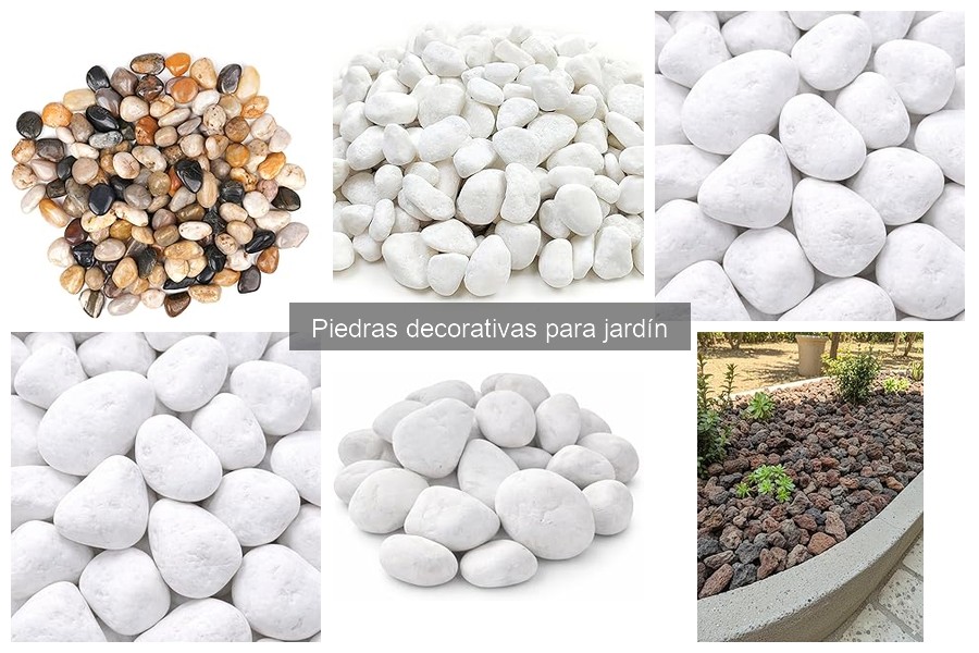 Errores comunes al usar piedras decorativas en el jardín
