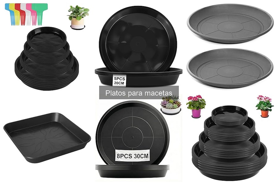 Errores comunes al usar platos para macetas y cómo evitarlos