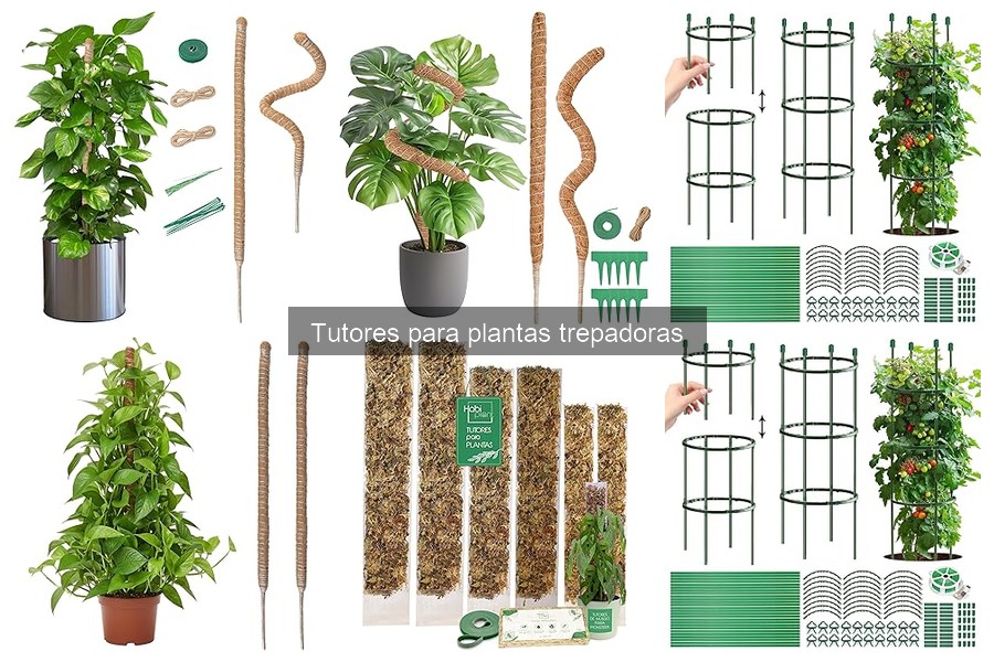** Errores comunes al usar tutores para plantas trepadoras