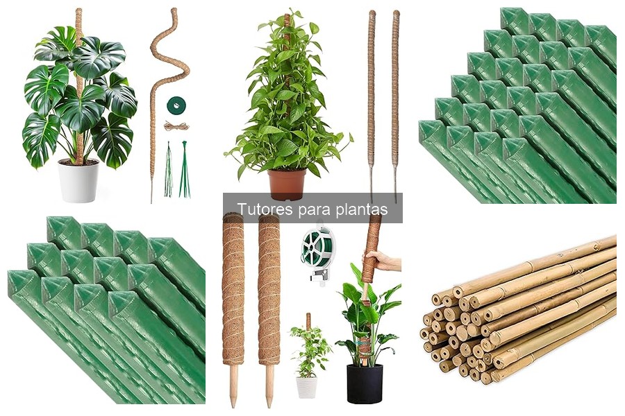 Errores comunes al usar tutores para plantas y cómo evitarlos