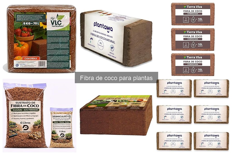 Fibra de Coco para Hidroponía: Beneficios y Usos Esenciales