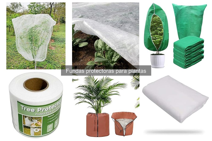 Fundas protectoras para plantas: ¿Qué son y para qué sirven?