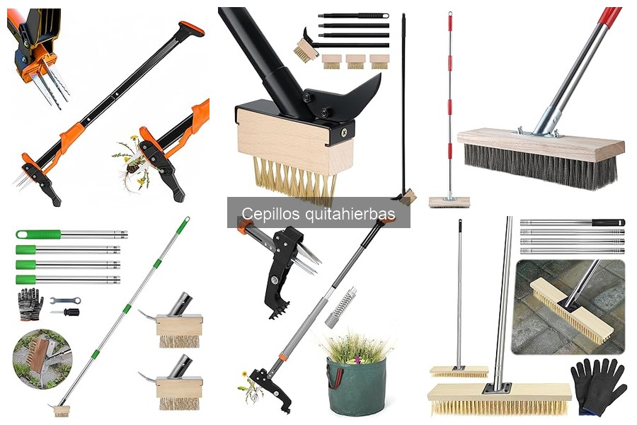 Guía de compra de cepillos quitahierbas para tu jardín