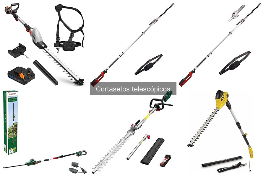 Guía de Compra de Cortasetos Telescópicos para Tu Jardín