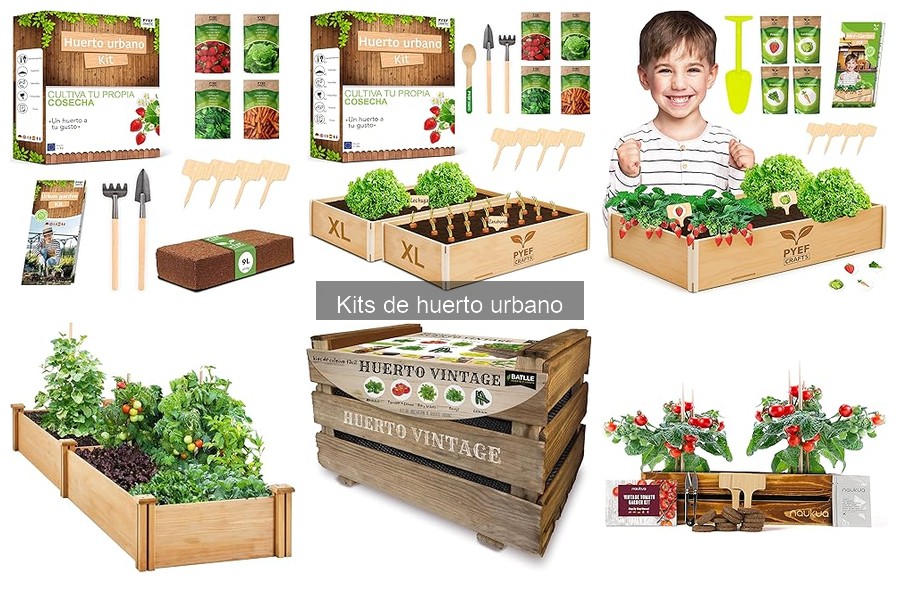 Guía de compra de kits de huerto urbano para tu hogar