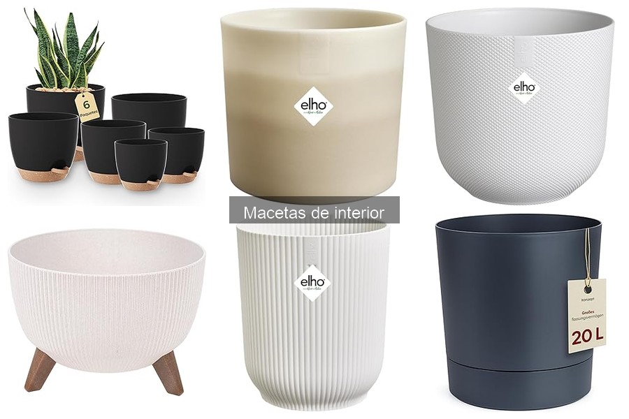 Guía de compra de macetas de interior: consejos útiles