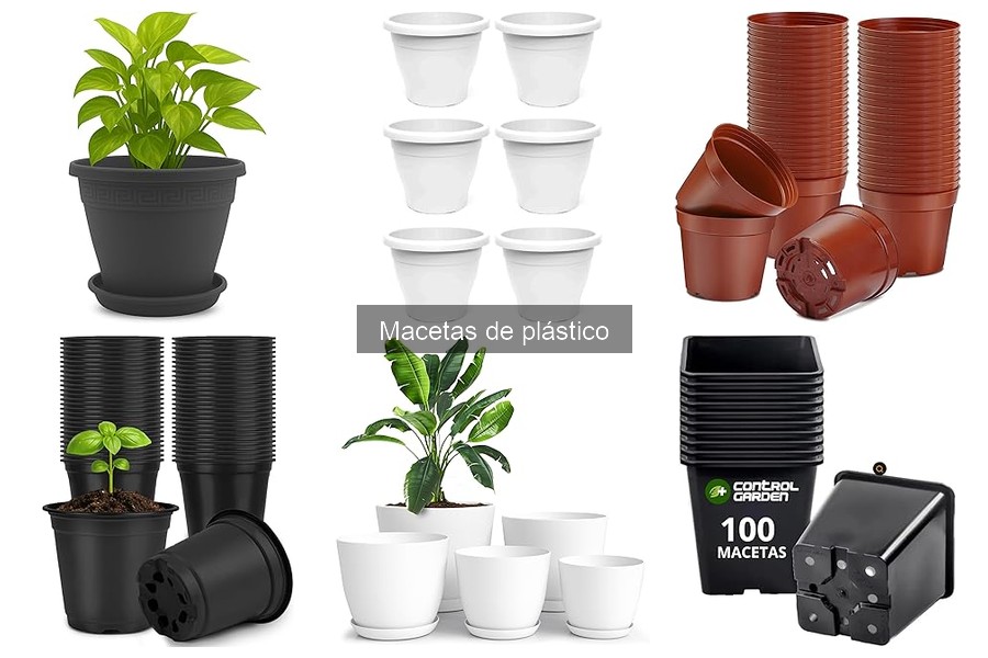 Guía de compra de macetas de plástico para tus plantas