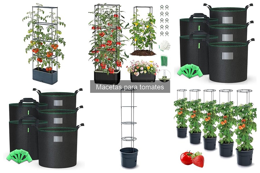 Guía de compra de macetas para tomates: consejos y recomendaciones