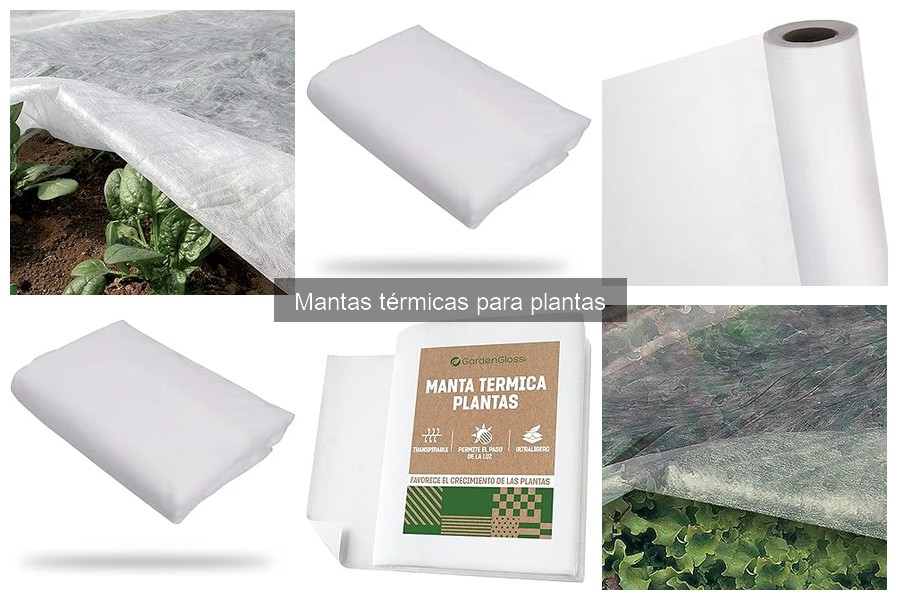 Guía de compra de mantas térmicas para plantas