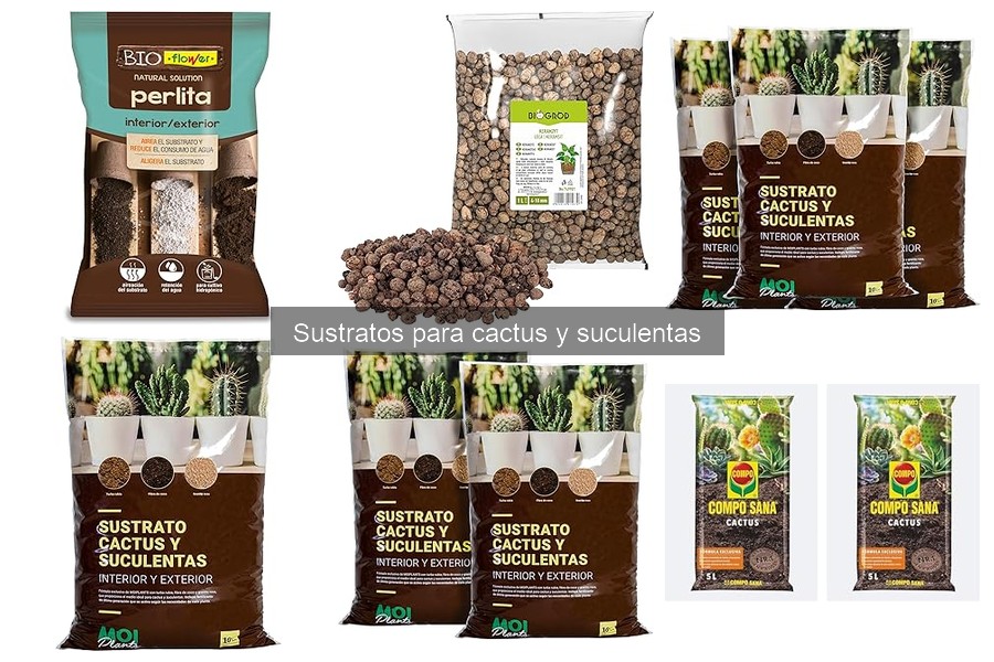 Guía de compra de sustratos para cactus y suculentas