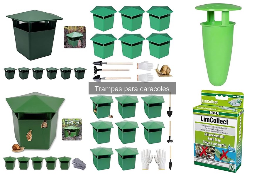 Guía de compra de trampas para caracoles eficaz y segura