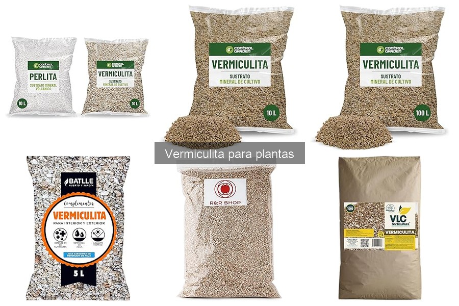 Guía de compra de vermiculita: cómo elegir y dónde comprar