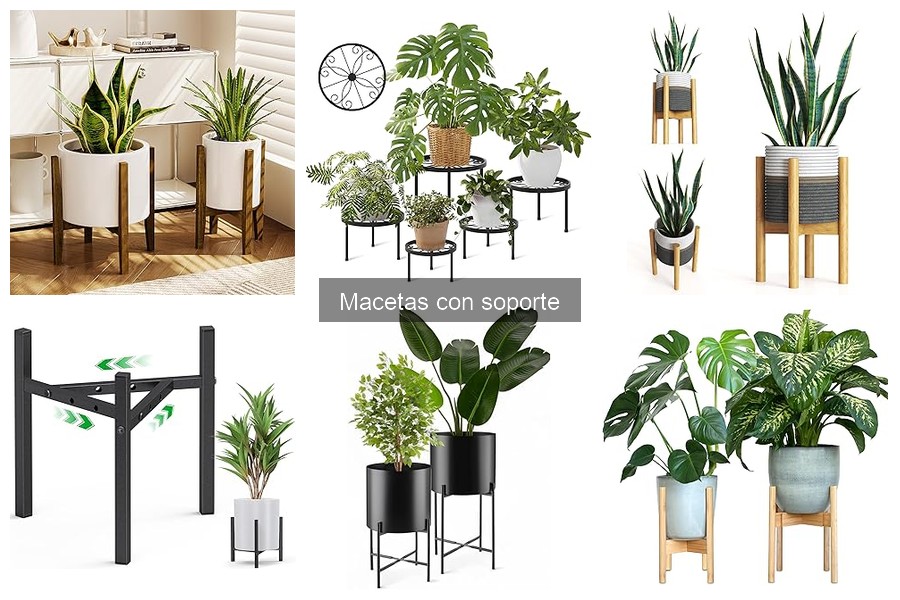 Guía para elegir la maceta con soporte adecuada