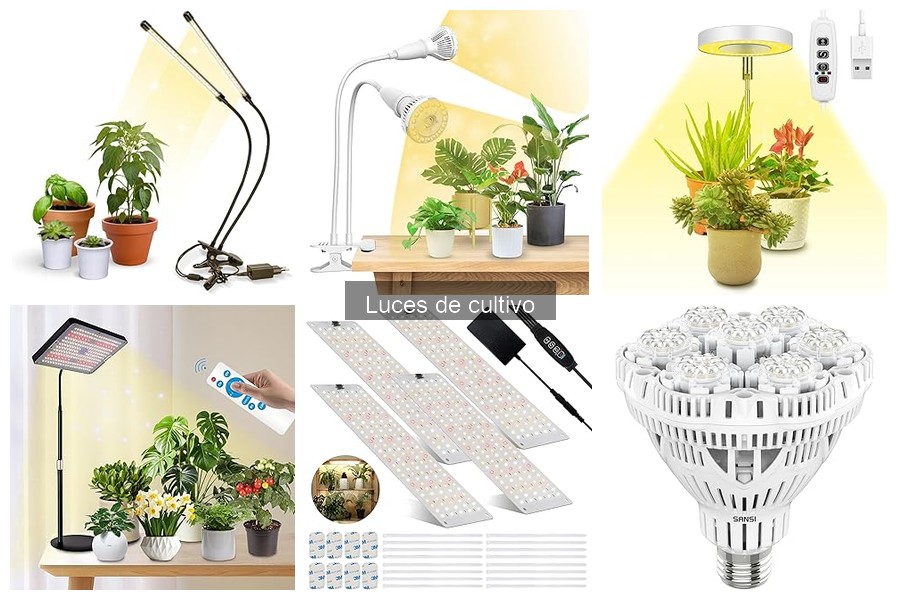 Guía para elegir la mejor luz de cultivo según tus plantas