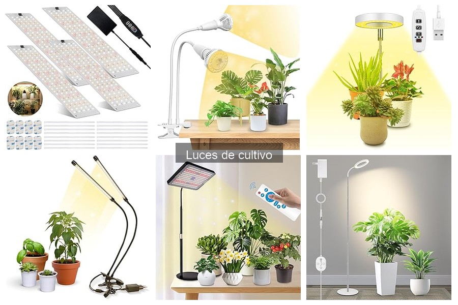Guía para instalar luces de cultivo en casa fácilmente