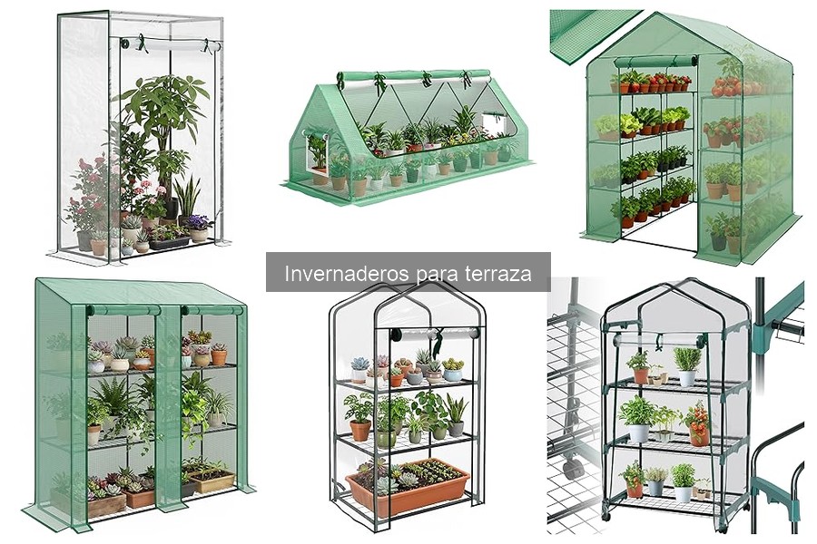 Guía para Instalar un Invernadero en la Terraza
