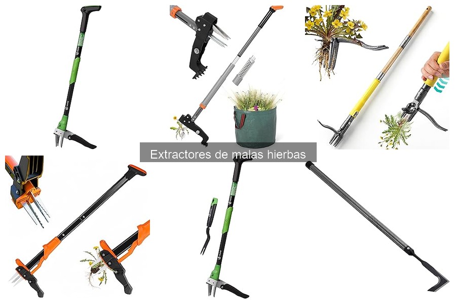 Guía para usar un extractor de malas hierbas correctamente
