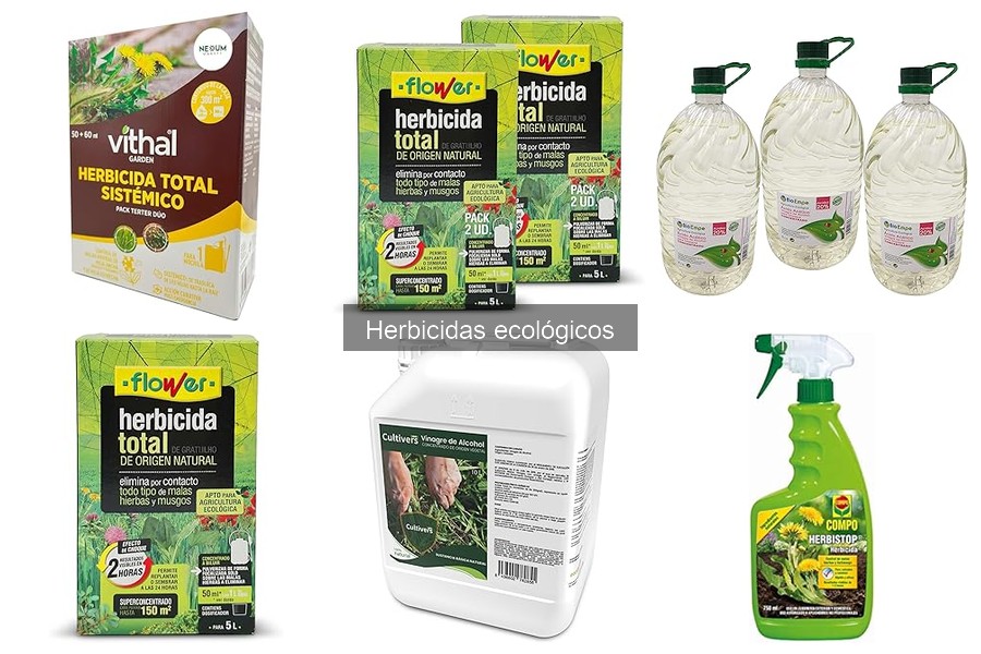 Herbicidas Ecológicos: ¿Qué Son y Cómo Funcionan?