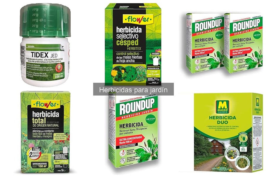 Herbicidas seguros para plantas ornamentales: ¡Descúbrelos!