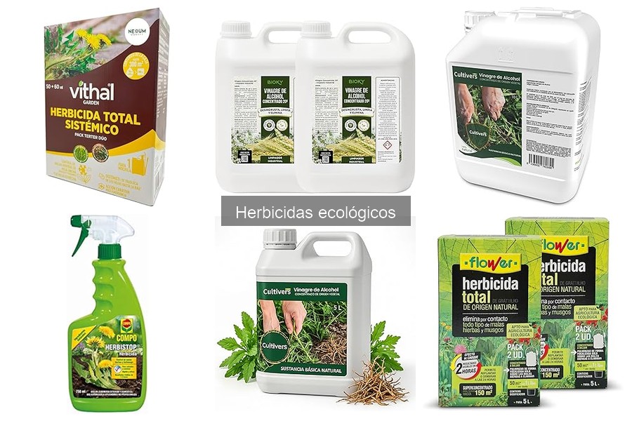 Impacto ambiental de los herbicidas ecológicos: ¿son seguros?