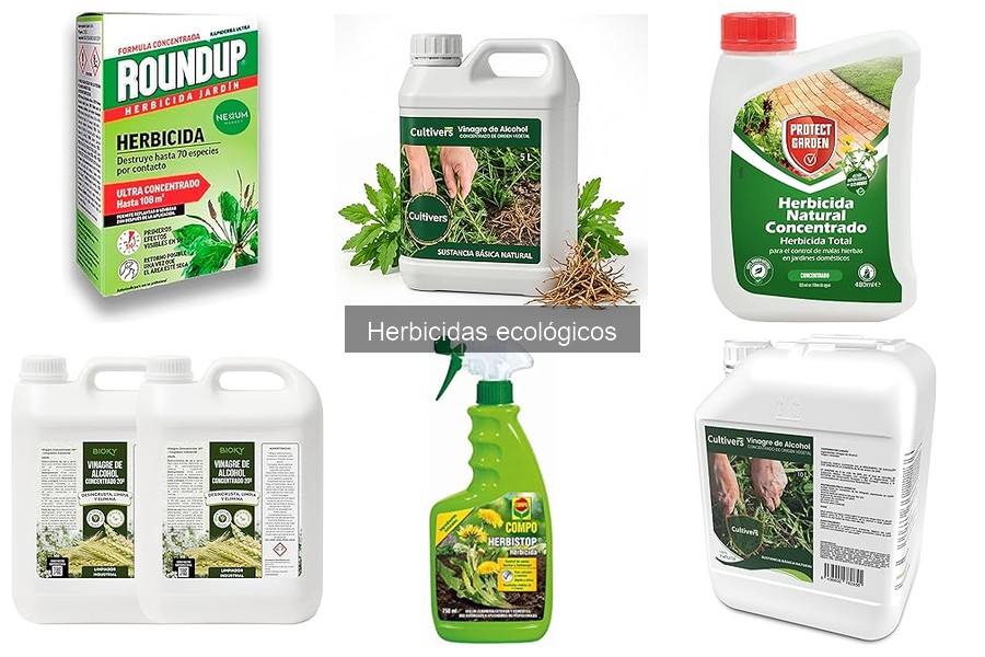 Ingredientes Comunes en Herbicidas Ecológicos: Guía Práctica