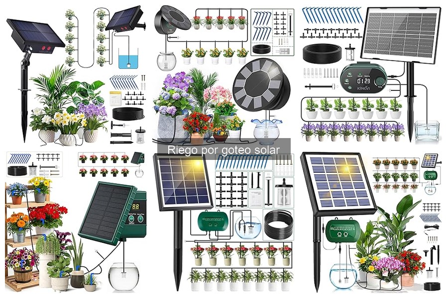 Instala un sistema de riego por goteo solar fácilmente