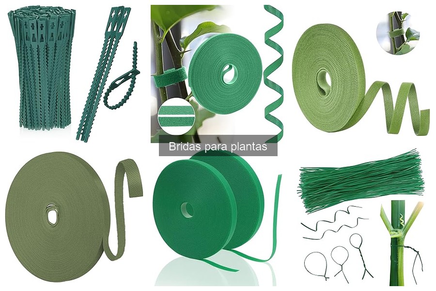 ¿Las bridas para plantas dañan el tallo? Descúbrelos aquí