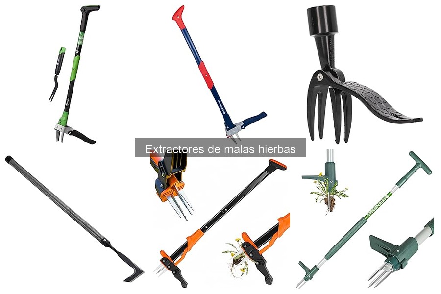 Las malas hierbas más difíciles de extraer y cómo manejarlas