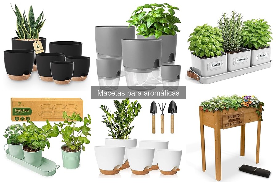 Macetas biodegradables para aromáticas: ¿realmente funcionan?