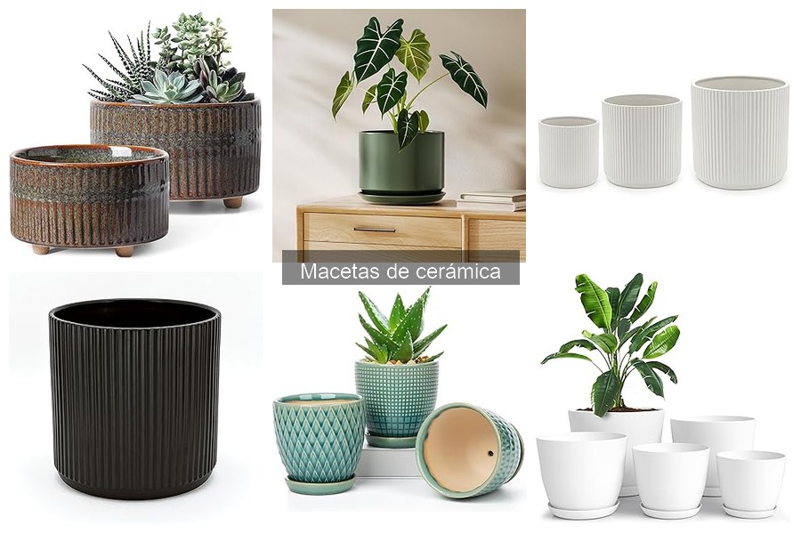 Macetas de cerámica: decorativas vs. funcionales