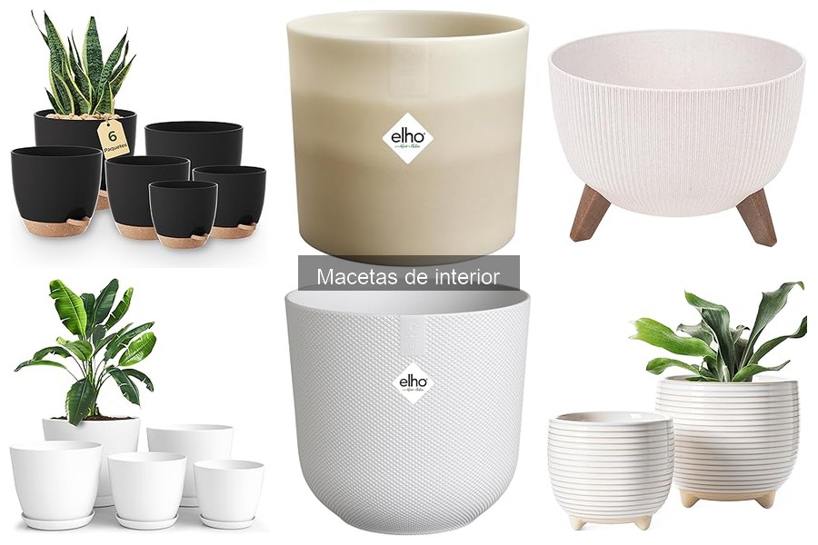 Macetas de interior económicas vs. premium: comparativa