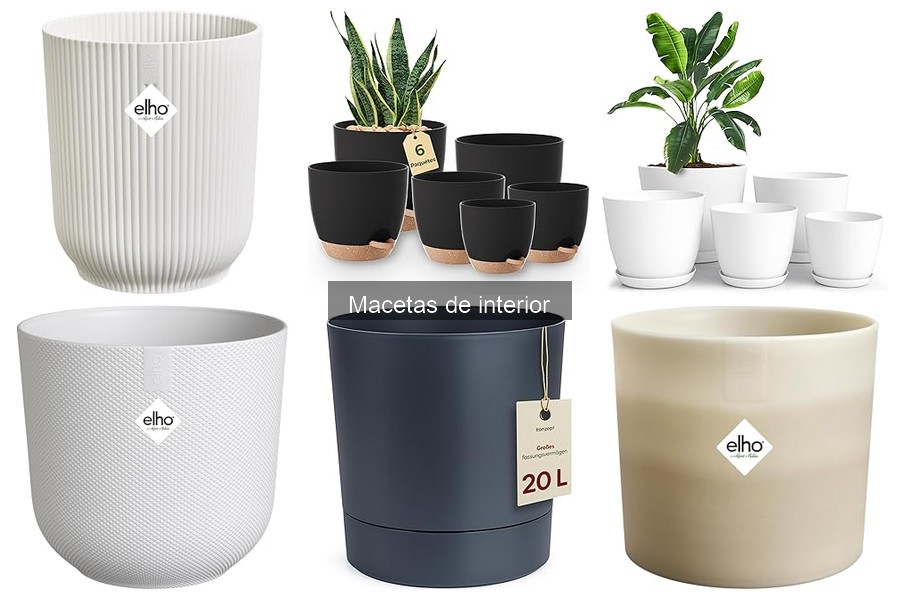 Macetas de interior sostenibles: opciones ecológicas para tu hogar
